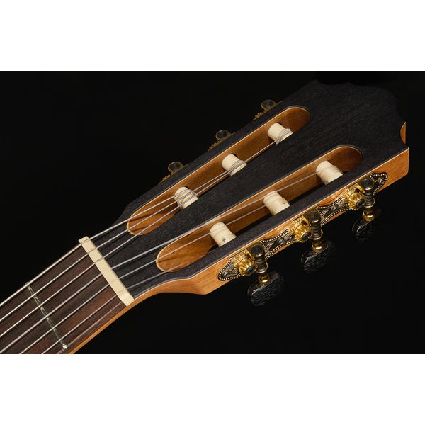 Höfner Meister Series HM65-F-CE