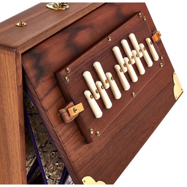 Thomann Nataraj Shruti Solid TW 432Hz