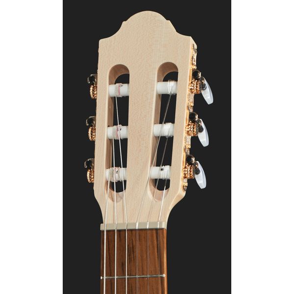 Gewa Pro Natura Gold 4/4 m/Bag