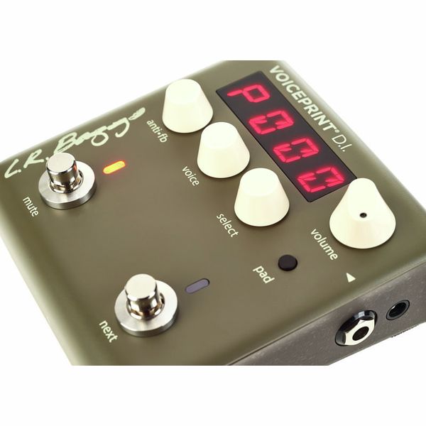 L.R.Baggs Voiceprint DI
