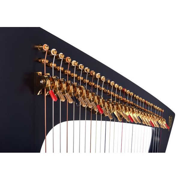 Salvi Delta Electric Harp Ebony
