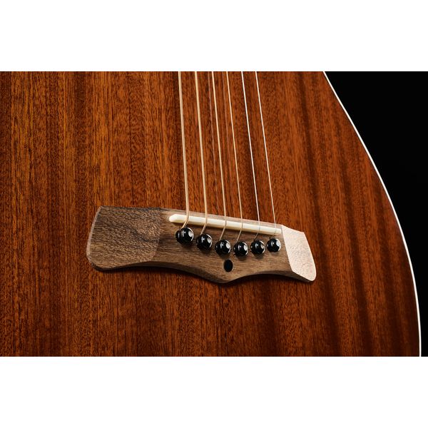 Gold Tone SM+ Weissenborn