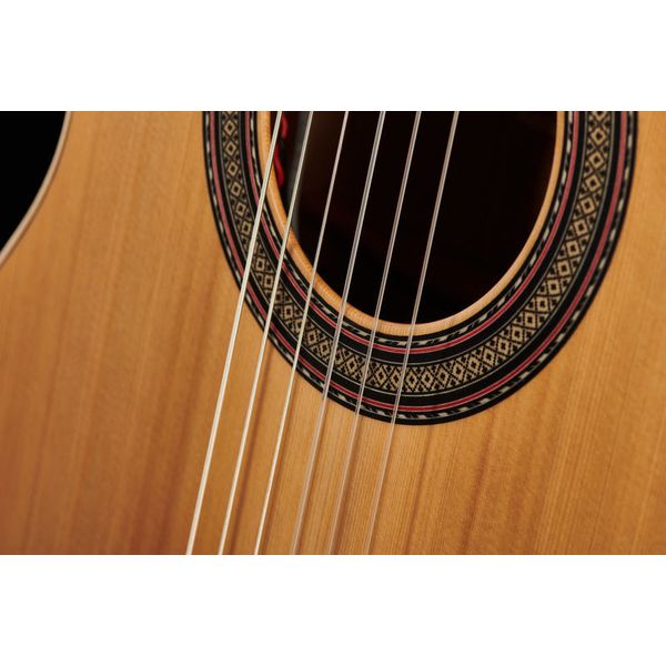 Alhambra Z Nature CW EZ incl.Gig Bag