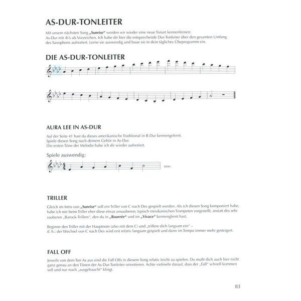 Schott Saxophon Spielen Hobby A-Sax 2