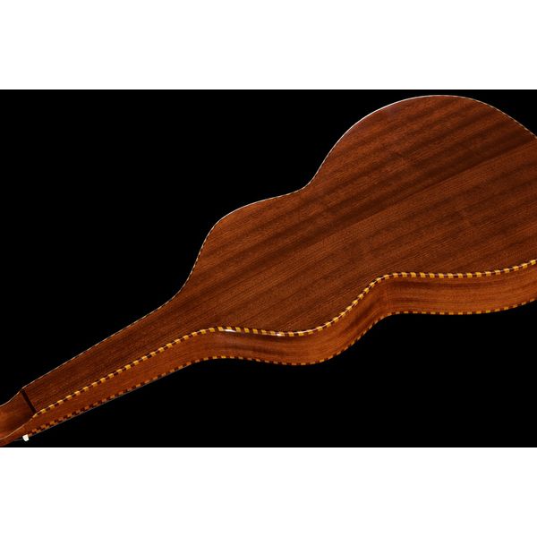 Gold Tone SM+ Weissenborn