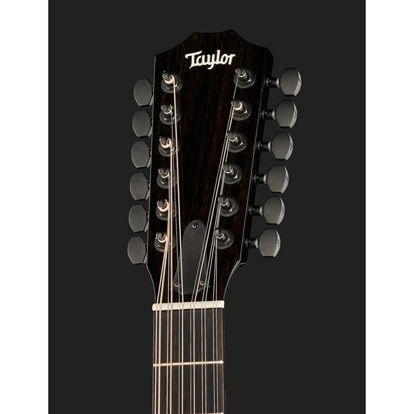 Taylor 250ce-BLK Plus