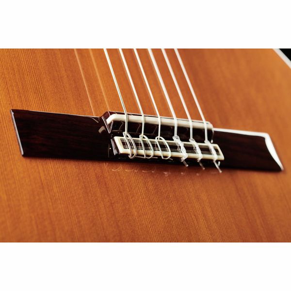 Alhambra 5P incl.Gig Bag