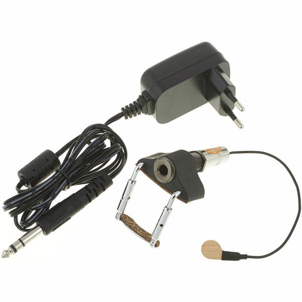 MI-SI Acoustic Trio/Vio