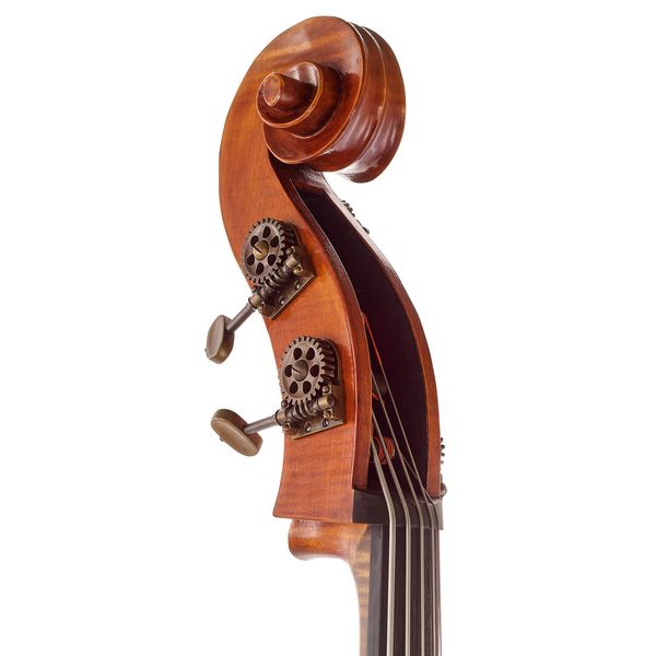 Master Bucur Double Bass Rogeri 5-S o.p.b.