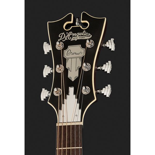 DAngelico Premier Lexington LS SVSB