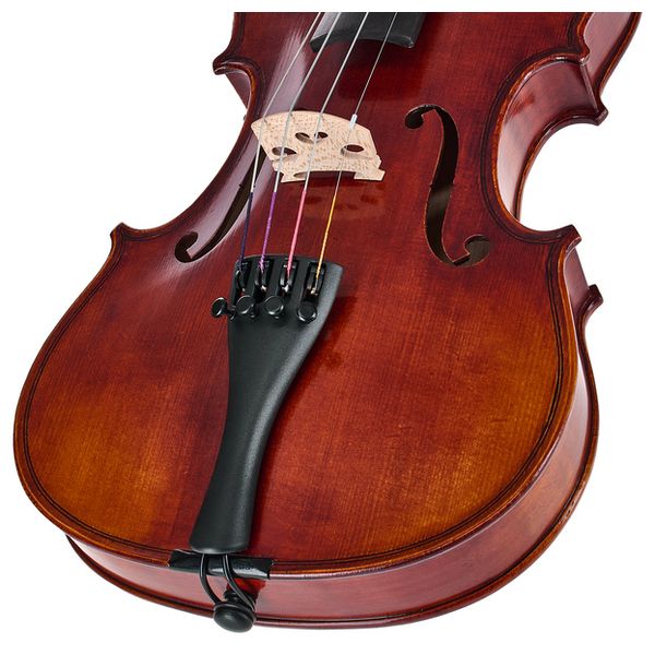Gewa Maestro 6 Antiqued Violin 3/4