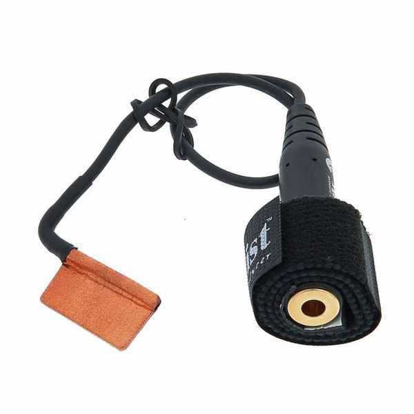 David Gage The Realist Cello