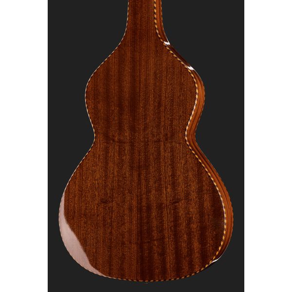 Gold Tone SM+ Weissenborn