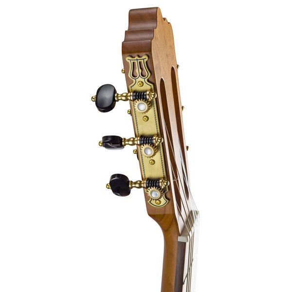 La Mancha Aliso Macizo