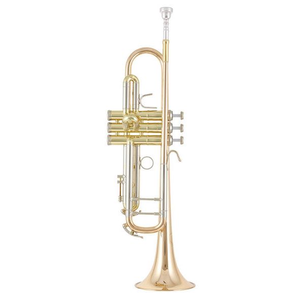 B&S 3137 G-L Challenger I GM