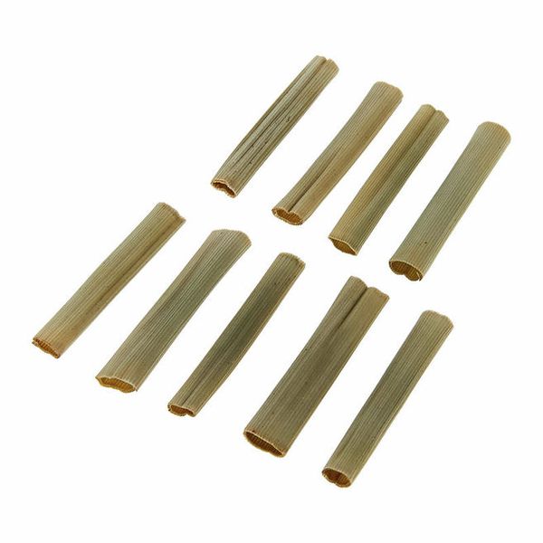 Leblanc Schachtelhalme