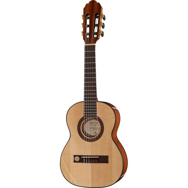 Gewa Pro Arte GC-25 A