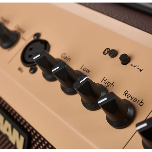 Fishman Loudbox Mini with Bluetooth