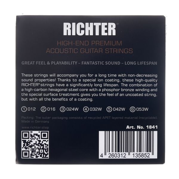 Richter Strings 12-53 Acoustic PH