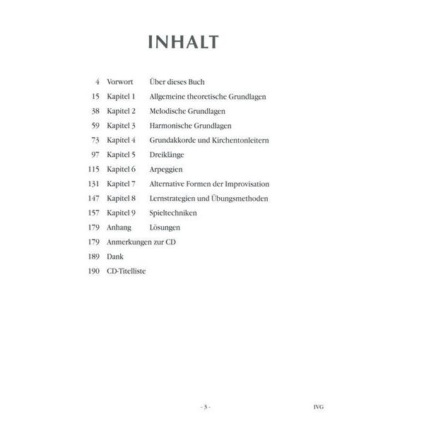 Voggenreiter In Vivo Guitar