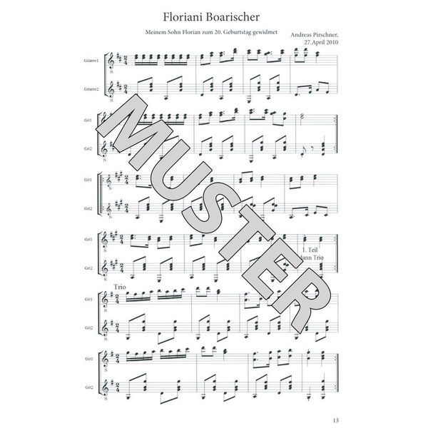 Thomann Fein Aufg'spielt Gitarre