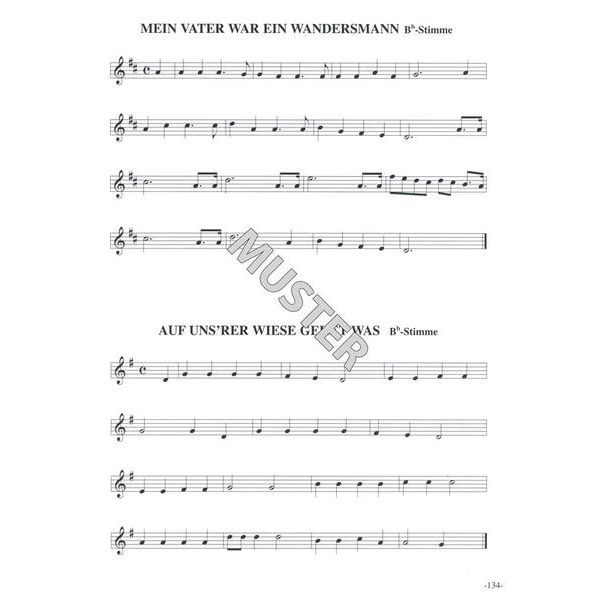 Streetlife Music Besten Melodien der Volksmusik