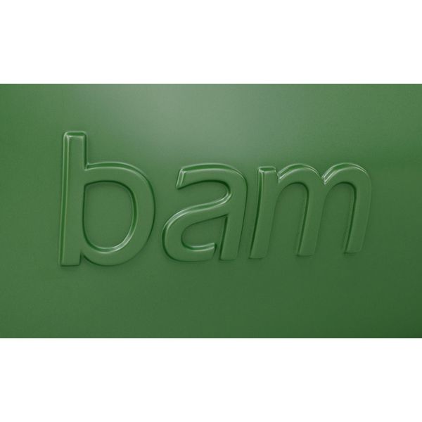 bam GRAF2200XLVO Viola Case