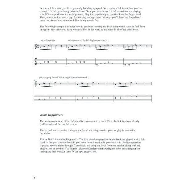 Hal Leonard Blues Licks You Can Use