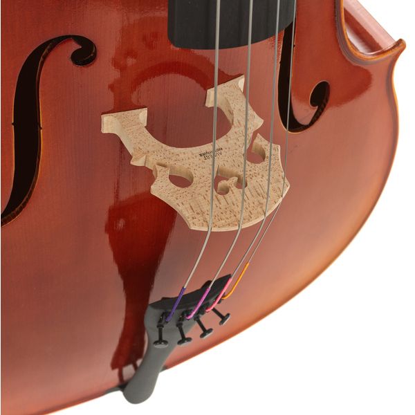Gewa Maestro 1 Cello 4/4