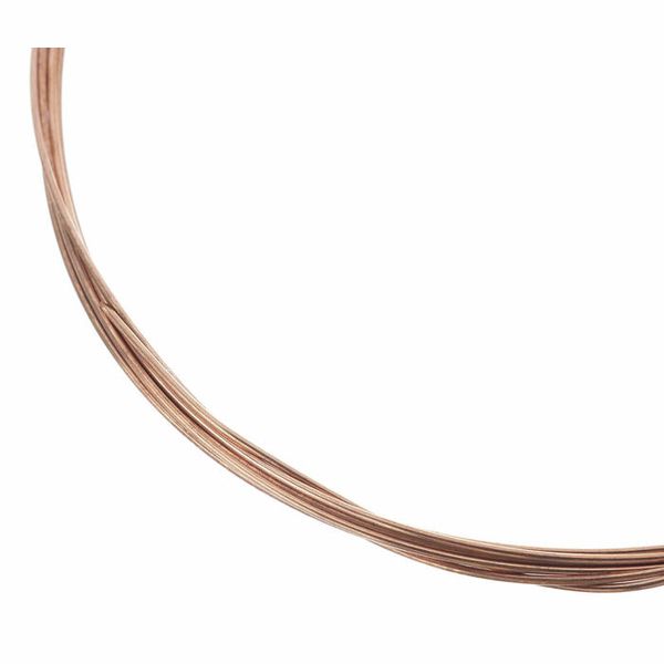 Thomann Nataraj Dilruba Strings Set