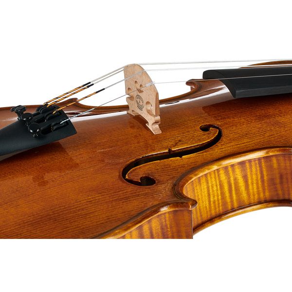 Gewa Georg Walther Violin GY