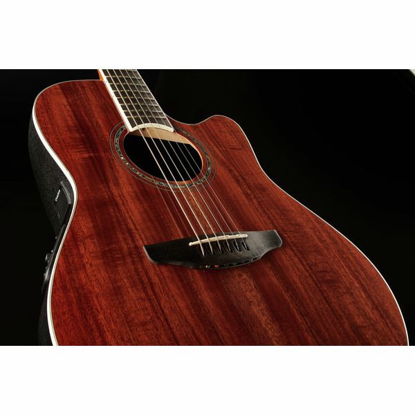 Ovation Celebrity Tradition CS-24P-KOA