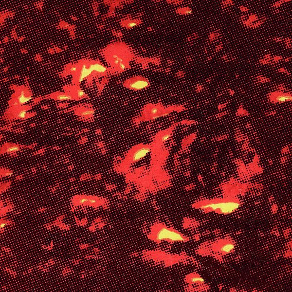 Harley Benton Pickguard Western Tortoise