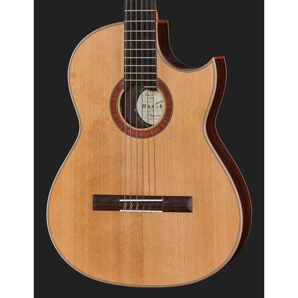 Hanika BasisCut PC + Pickup System