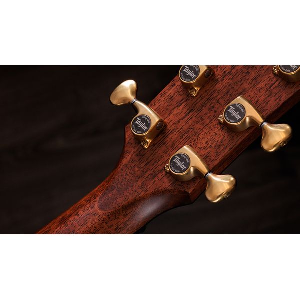 Taylor Builders Ed. 814ce Adirondack