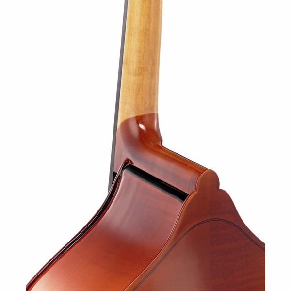 Thomann 11 1/10 Europe Double Bass