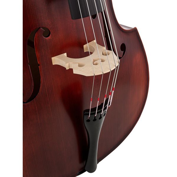 Thomann 22AS/5str/LH 3/4 Europe Bass