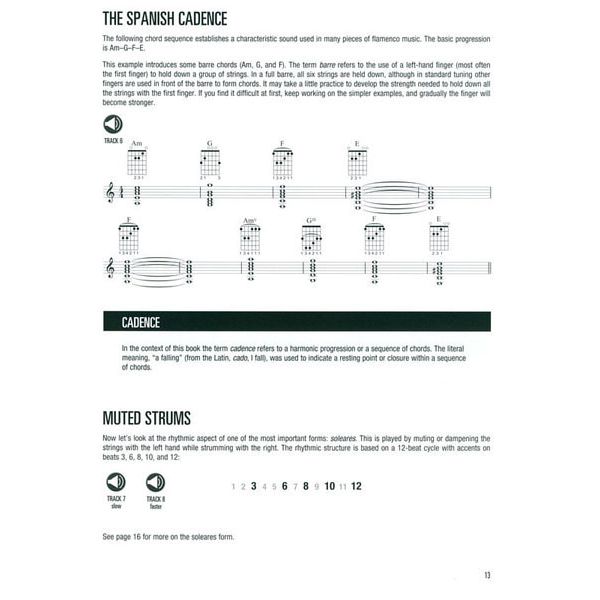 Hal Leonard Flamenco Guitar