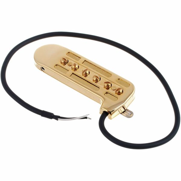 DeArmond Rhythm Chief 1100