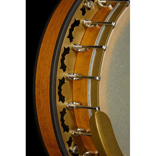 Deering Phoenix A/E 6-string Banjo