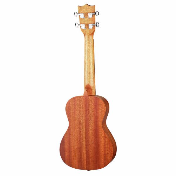 Flight AUC-33 Stardust Concert Uk