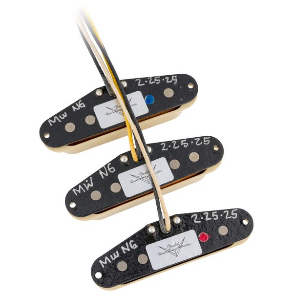 Fender Ancho Poblano Strat Set