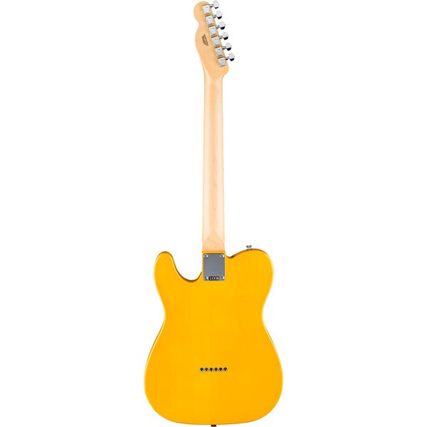 Fender Standard Tele MN BPG BTB