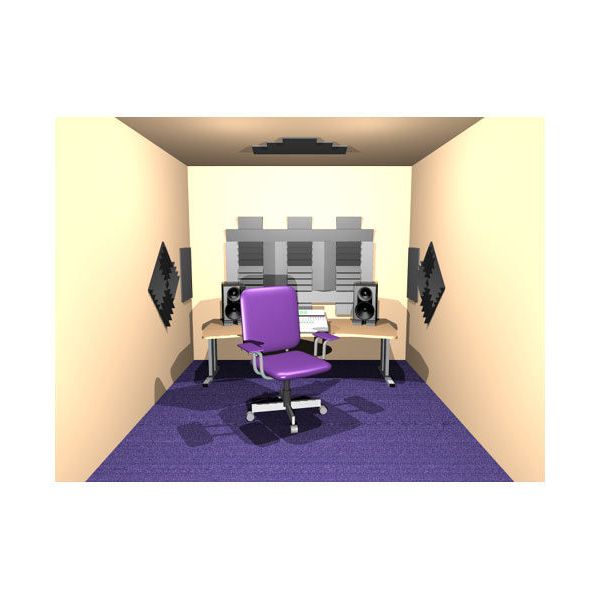 Auralex Acoustics Roominators D 36-DST Charcoal