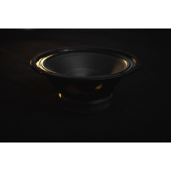 HESU Demon 12" 16 Ohms