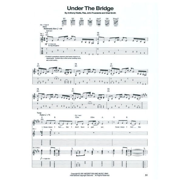 Hal Leonard Red Hot Chili Blood Guitar