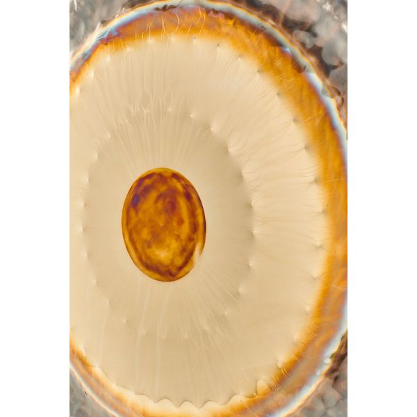 RealGong 36"/91cm Symphonic Gong GBC