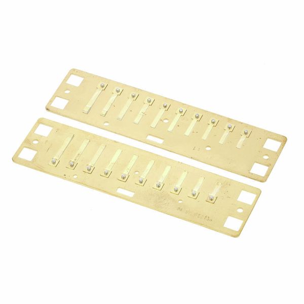 Lee Oskar Harmonic Minor Reedplates D