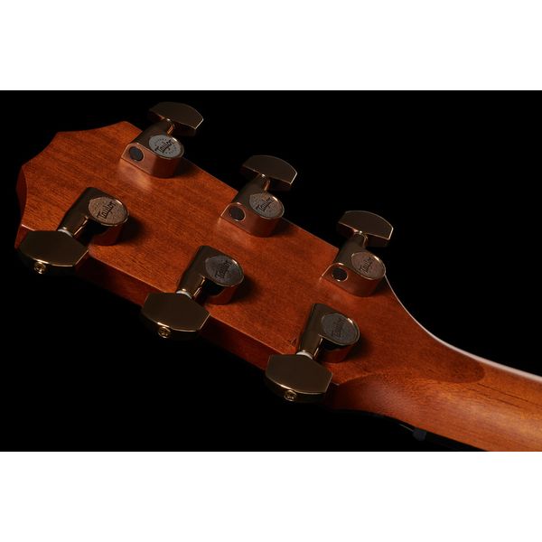 Taylor C24ce Grand Auditorium Custom