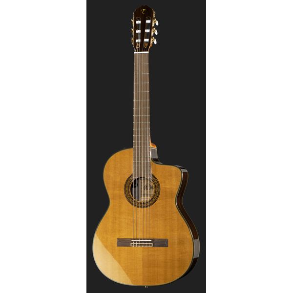 Takamine EC132SC w/Softcase